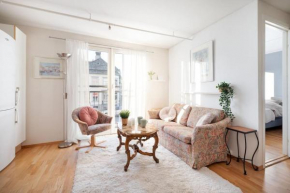 Charming apt in city centre